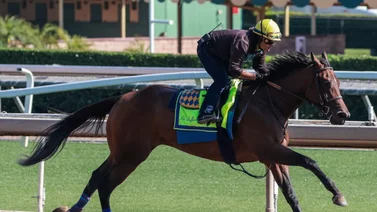 Potra de yegua venezolana entrenada por Bob Baffert debuta este viernes