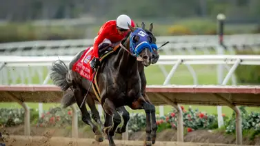 Dr. Venkman les sacó la lengua a sus rivales en prueba clasificatoria para la Breeders’ Cup Dirt Mile Dr. Venkman les sacó la lengua a sus rivales en prueba clasificatoria para la Breeders’ Cup Dirt Mile