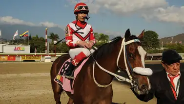 Ángel Alciro Castillo supera estos números personales en Estados Unidos Ángel Alciro Castillo supera estos números personales en Estados Unidos