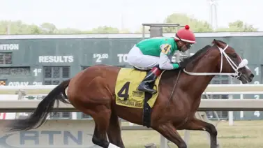 Mychel Sánchez cerca de su tercera temporada con 200 victorias en Estados Unidos Mychel Sánchez cerca de su tercera temporada con 200 victorias en Estados Unidos