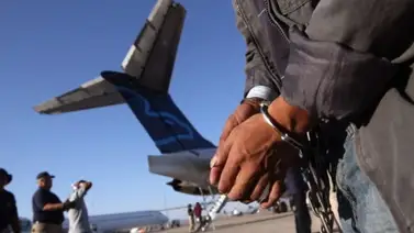 ICE considera crear su propia flota de aviones para acelerar deportaciones ICE considera crear su propia flota de aviones para acelerar deportaciones