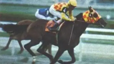 Batalla de cinco: La Copa "Huracán Sí" promete emoción este sábado en Hinava Batalla de cinco: La Copa "Huracán Sí" promete emoción este sábado en Hinava