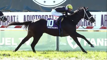 Consentido de José Francisco D’Angelo “Voló” en su ejercicio para su próxima salida Consentido de José Francisco D’Angelo “Voló” en su ejercicio para su próxima salida