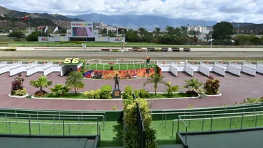 Expectativa en La Rinconada: debuta un hijo de semental japonés para la reunión 33