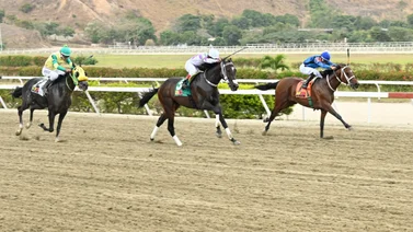 Tras un receso estratégico: Reaparece el caballo que generó gran expectativa en su primera carrera