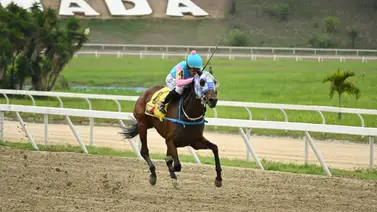 Mucho cuidado con esta yegua que viene de ganar por más diez cuerpos y reaparece lista para la R33 Mucho cuidado con esta yegua que viene de ganar por más diez cuerpos y reaparece lista para la R33