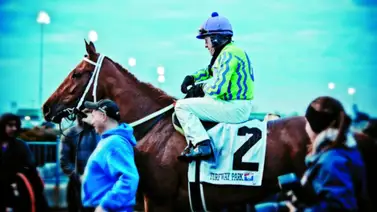 Asociación Nacional de Periodistas y Locutores Hípicos rendirán homenaje a jockey de 71 años Asociación Nacional de Periodistas y Locutores Hípicos rendirán homenaje a jockey de 71 años