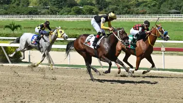 Nieta de Scat Daddy está lista para sorprender en su reaparecida en la primera válida del 5y6 dominical Nieta de Scat Daddy está lista para sorprender en su reaparecida en la primera válida del 5y6 dominical