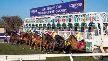 La emoción continua este fin de semana para la Breeders' Cup