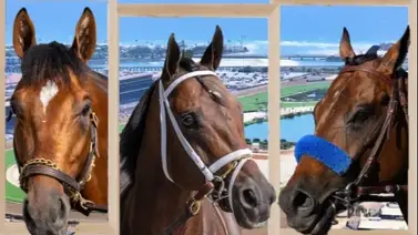 ¡Oficial! Journalism contra siete en la Pacific Classic (G1) ¡Oficial! Journalism contra siete en la Pacific Classic (G1)