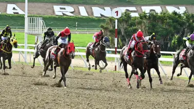 Ejemplar que en su última pagó tremendo dividendo reaparece luego de 63 días sin correr Ejemplar que en su última pagó tremendo dividendo reaparece luego de 63 días sin correr