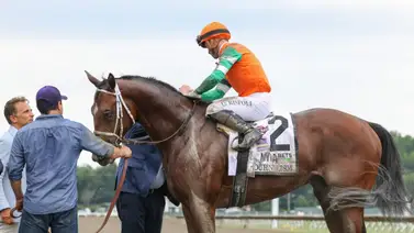 Journalism buscará lograr esta hazaña en el Pacific Classic Stakes G1 Journalism buscará lograr esta hazaña en el Pacific Classic Stakes G1