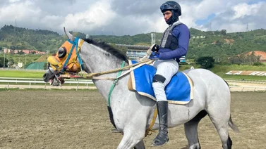 Renace un campeón: Lemon White luce recuperado y listo para volver a las pruebas públicas en La Rinconada (+Video)