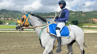 Renace un campeón: Lemon White luce recuperado y listo para volver a las pruebas públicas en La Rinconada (+Video) Renace un campeón: Lemon White luce recuperado y listo para volver a las pruebas públicas en La Rinconada (+Video)