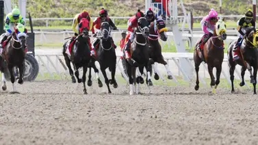 Alerta en el 5y6: Esta yunta que luego de 11 actuaciones podría sorprender con su primera victoria el domingo Alerta en el 5y6: Esta yunta que luego de 11 actuaciones podría sorprender con su primera victoria el domingo