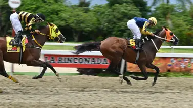 Para no dudar: Este ejemplar logró uno de los mejores ajustes y podría buscar victoria en la R33 Para no dudar: Este ejemplar logró uno de los mejores ajustes y podría buscar victoria en la R33