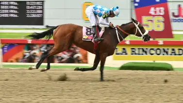 Atención: Uno de los ajustes más explosivos lo tiene esta yegua que podría ser la posible sorpresa para la jornada dominical Atención: Uno de los ajustes más explosivos lo tiene esta yegua que podría ser la posible sorpresa para la jornada dominical