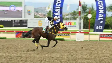 Nieto de Taconeo ajusta muy bien y puede sorprender en el 5y6 Nieto de Taconeo ajusta muy bien y puede sorprender en el 5y6