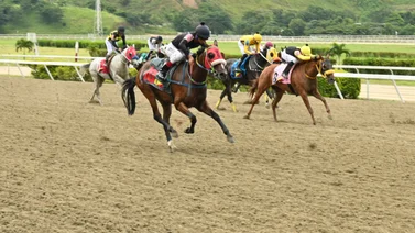 Para ganar: Mira el “dato más corrido” que participa en la tercera válida  