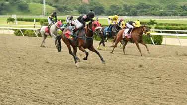 Para ganar: Mira el “dato más corrido” que participa en la tercera válida Para ganar: Mira el “dato más corrido” que participa en la tercera válida