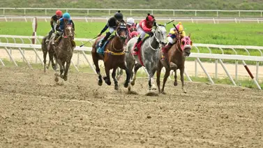 El "robo" que toda Venezuela espera: Revelamos a la yegua que corre en la primera válida El "robo" que toda Venezuela espera: Revelamos a la yegua que corre en la primera válida