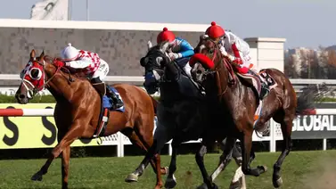 Jinete sexagenario sufre fractura de cuello en este hipódromo Jinete sexagenario sufre fractura de cuello en este hipódromo