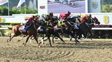 No busques más: Estos son los ejemplares con más fuerza en la pista de La Rinconada No busques más: Estos son los ejemplares con más fuerza en la pista de La Rinconada