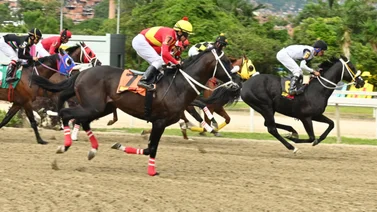 Favoritos de la cátedra para el 5y6 Nacional de la reunión N°33 en el hipódromo La Rinconada 