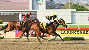 Estén muy atentos con este ejemplar que logró uno de los mejores ajustes de La Rinconada Estén muy atentos con este ejemplar que logró uno de los mejores ajustes de La Rinconada