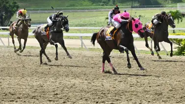 Yegua impresiona con su ajuste el miércoles y es el dato para la última válida del 5y6 Yegua impresiona con su ajuste el miércoles y es el dato para la última válida del 5y6