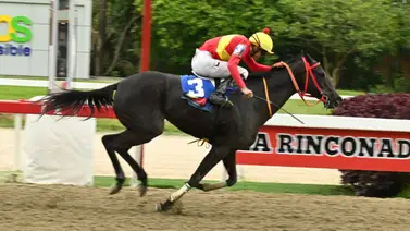 Descubre el ajuste de la sorpresa de Gaceta Hípica que será clave para cerrar el 5y6 dominical Descubre el ajuste de la sorpresa de Gaceta Hípica que será clave para cerrar el 5y6 dominical