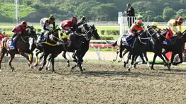 En la cuarta válida participa un ejemplar que dejó un impresionante ajuste y podría conseguir su primer triunfo