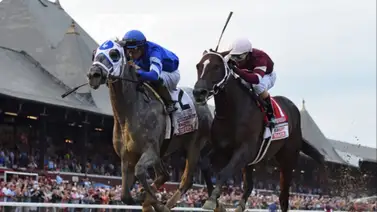 Presta mucha atención: Un hijo de Tapit llegará próximamente a Venezuela para cumplir campaña en La Rinconada Presta mucha atención: Un hijo de Tapit llegará próximamente a Venezuela para cumplir campaña en La Rinconada