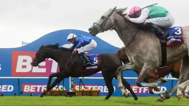 Hijo del triplecoronado Justify del Godolphin muere por esta causa Hijo del triplecoronado Justify del Godolphin muere por esta causa