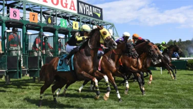 Mi Bago aprovechará su velocidad para ganar la última selectiva en Saratoga