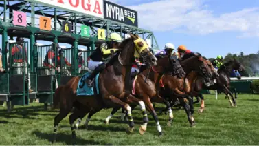 Mi Bago aprovechará su velocidad para ganar la última selectiva en Saratoga Mi Bago aprovechará su velocidad para ganar la última selectiva en Saratoga