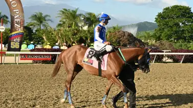 Para Jesús Antonio Romero si esta yegua parte bien puede estar en el marcador del 5y6 Para Jesús Antonio Romero si esta yegua parte bien puede estar en el marcador del 5y6