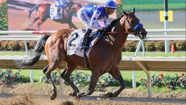 Nysos fue retirado de la Pacific Classic en Del Mar