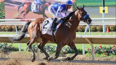 Nysos fue retirado de la Pacific Classic en Del Mar Nysos fue retirado de la Pacific Classic en Del Mar