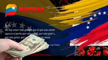 Monedero de Patria: Bonos que depositarán del 1 al 6 de septiembre 