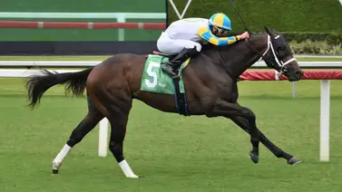 José Francisco D’Angelo ganó tres y se coloco a una del líder en Gulfstream Park José Francisco D’Angelo ganó tres y se coloco a una del líder en Gulfstream Park