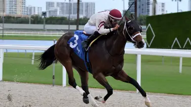 Leonel Reyes Ramos cierra con todo el Royal Palm Meet con tres triunfos Leonel Reyes Ramos cierra con todo el Royal Palm Meet con tres triunfos
