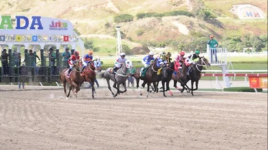 Monto sellado en el 5y6 de La Rinconada para este domingo 31-8-2025