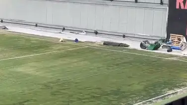 Barcelona se queja del lamentable estado del campo del Rayo Vallecano (+Video) Barcelona se queja del lamentable estado del campo del Rayo Vallecano (+Video)