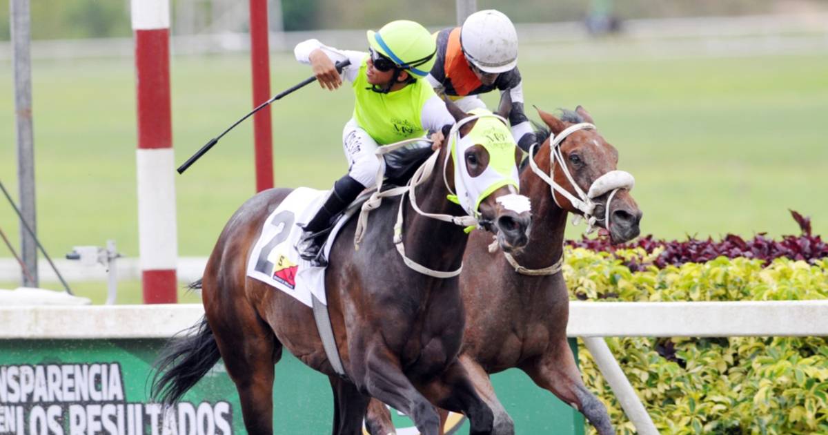Así quedaron los resultados de las carreras de La Rinconada 02-08-2026