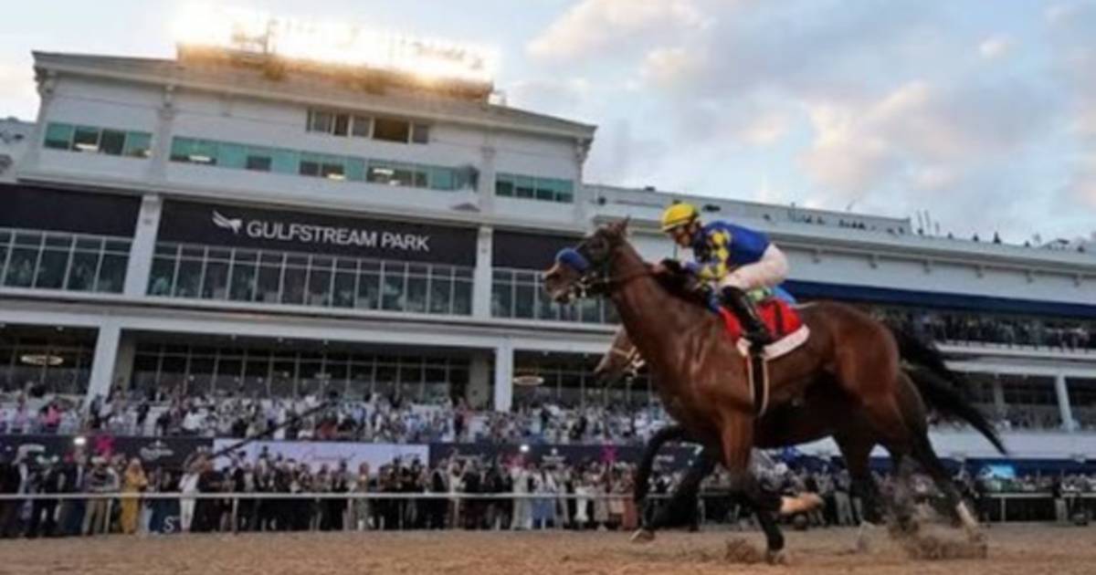Triunfal jornada venezolana en Gulfstream Park: Fustas y entrenadores criollos barrieron con la programación
