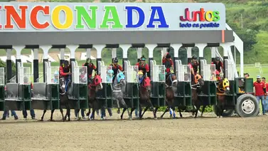Disciplina: Comisarios aplican medida reglamentaria a jinete profesional en La Rinconada Disciplina: Comisarios aplican medida reglamentaria a jinete profesional en La Rinconada
