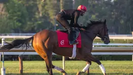 Nitrogen a sorprender a los machos en el Withey Stakes (G1) en Saratoga