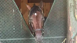 Flavien Prat busca otra selectiva el sábado con Baeza en el Whitney Stakes (G1)