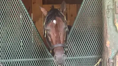 Flavien Prat busca otra selectiva el sábado con Baeza en el Whitney Stakes (G1) Flavien Prat busca otra selectiva el sábado con Baeza en el Whitney Stakes (G1)